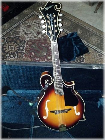 Washburn Mandolin, no it's not a Gibson but it is real, real wood, great tone. I use it on a lot of recordings and will proudly play it live, great instrument
