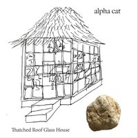 Thatched Roof Glass House by Alpha Cat