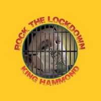 Rock The Lockdown by King Hammond