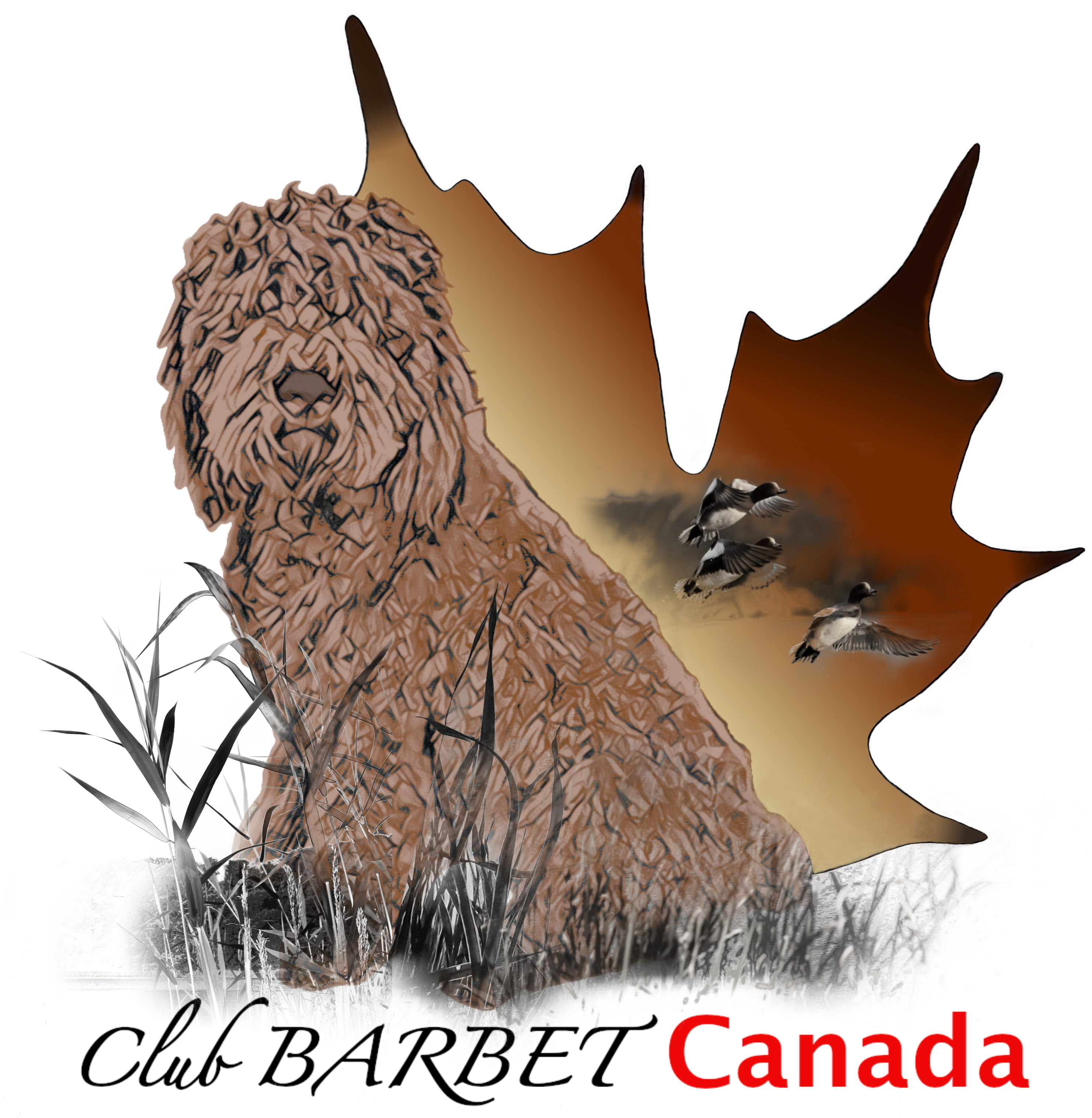 Club Barbet Canada