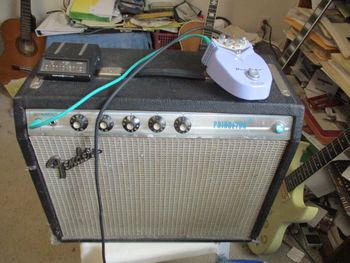 Fender Princeton amp, Danelectro pedal. Great-sounding amp except for missing the reverb.
