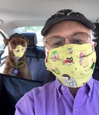 Greg Tamblyn's Humor Blog selfie of Greg in car with dog in back seat. Both Greg and dog are wearing identical yellow Covid masks.