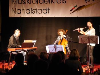 Trio Lumimare Nandlstadt Sibylle Friz-Cello
