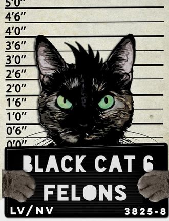 black cat 6, lucciano drummer, feline music, neil citron, rudy sarzo, felons