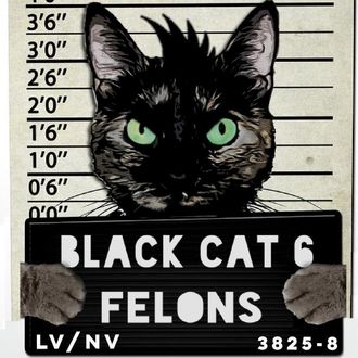 Black Cat 6 FELONS, Neil Citron, Lucciano, Scratching My Itch, Jon Pomplin, Declassified Records and Feline Music