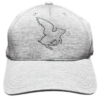 Flying Pig Hat - Gray