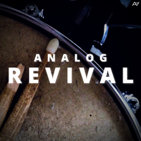 Analog Revival