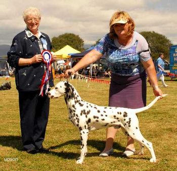 Kane, Best Puppy In Show at Horowhenua Champ Show 2007
