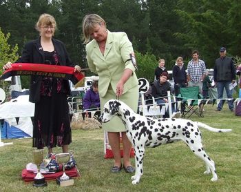 Bron and Ruby, Reserve Best In Show, Dalmatian Specialty 2009.
