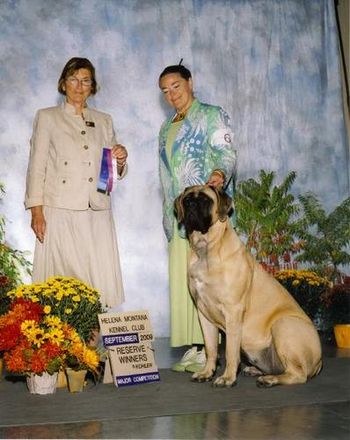 Jimmy's daughter X Ch. Omega Lamars Indy-Ana, Lamars Illusion Shirley Cha Cha 16 mo. old and her Momma Cheryl.

