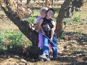 Our grandkids sitting in a tree at the new house. Koiie in front and Taylor in back
