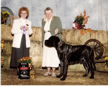 Ch.Lamars Lance-a-lot owned by Don & Deana Umberger Ch.Thunderpaws Captain Murphy Ch.Lamars Sassy Sandy Savy
