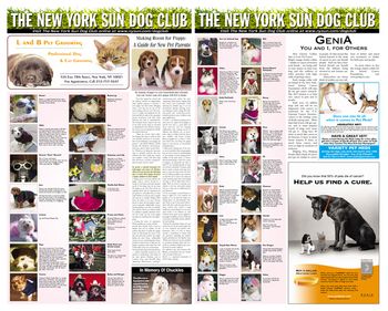 Spread The New York Sun

