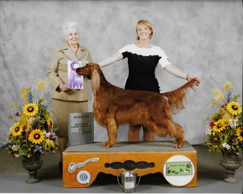 Miss Indy winning her 2nd of 3 majors.  Go to her page on this website to see more pictures of Indy.
