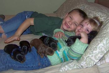 These are TerriLynn's grandkids that came over to visit the puppies. Nothing cuter than puppies and kids!! 11/18/09
