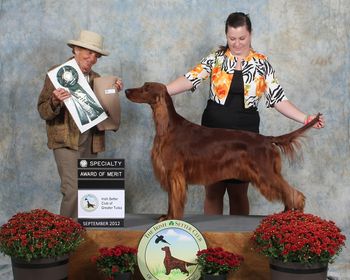 Rio pictured winning an Award Of Merit at the Oklahoma Specialty. Sept. 2012 Thanks so much to Shea for showing Rio so beautifully!
