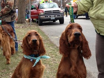 Bond & Conor at the St. Paddy's day parade together in Kansas. Thanks to Skip Gast and Linda Kalmar for sending me this picture. So cool to see the brothers together! March 2013
