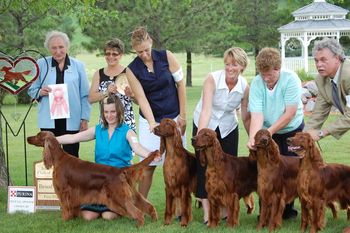 We won the Brood Bith class with Bode's mom - CH. Roclyn Vivacious JH. Owners: Tim & Kim Kleinschmidt Kids are (from left to right) Carrigan, Bode, Brody, Sage - all litter mates.
