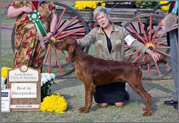 Tramore Galewinns Mak'n an Impact (Ch. Galewinns Put Me In Coach x Ch. Tramore Imperial Impetuous Imp) "Pierce" winning Best In Sweepstakes at the Irish Setter National in Arizona in April 2008. Pierce is owned and bred by Ginny Swanson and myself. We are so thrilled with his win!
