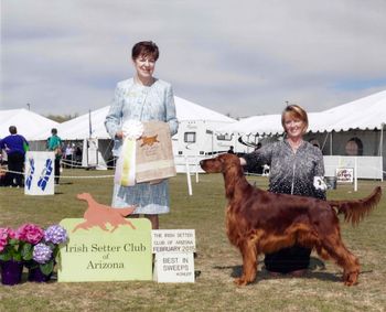 PJ going Best In Sweeps at the Irish Setter Club of Arizona Specialty.  Feb. 2015
