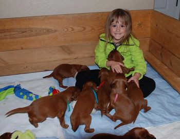 My granddaughter (5 yrs old) came over today and really enjoyed playing with the puppies!
