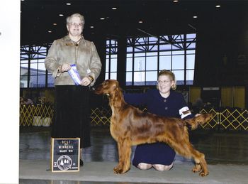 "Carrigan" Huntersglen Bring It On Galewinns Owners: Kim & Tim Kleinschmidt & Pam Gale Shown here wining his first Major at 10 months of age.
