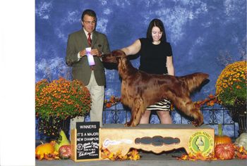 "Kibby" Galewinns Grace and Glory at Huntersglen (AFC DC Pompei's Look Who's Here MH RA x CH. Tramore Keepin' On Galewinns JH) Owners: Kim & Tim Kleinschmidt Sheboygan, WI Kibby is shown here finishing his championship. Jan 2011
