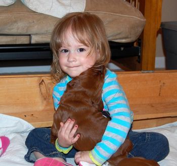 My grandaughter Payton with the puppies. First time she saw them. Pups are 13 days old. Feb. 28, 2011
