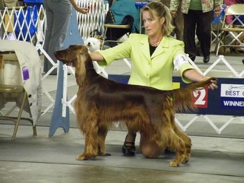 Katie at the Cheyenne dog show in Sept. 08.
