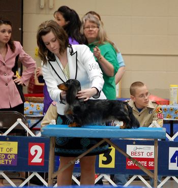 Shea with Baxter in Juniors for the first time. She placed 2nd. Garden City, KS - March 2010.
