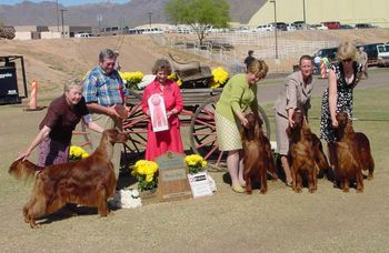 This is Abbott (BIS/BISS Ch. Windrose Who's On First?) winning the Stud Dog class at the 2008 Irish Setter National. The get are (from left to right) "Dante" (BIS Ch. Windwood's Inferno, "Bo" (Ch. Galewinns Put Me In Coach) and "Bravo" (Ch. Galewinns Grand Slam). What a nice win for Abbott & Loma Clark (owner)!
