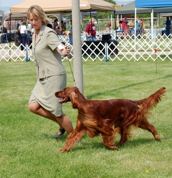 Rio showing at the Longmont show. June 2011
