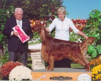 "Pierce" Tramore Galewinns Mak'n An Impact (Ch. Galewinns Put Me In Coach x Ch. Tramore Imperial Impetuous Imp) Owners: Ginny Swanson & Pam Gale Pierce is shown here winning a Group 2 at the Grand Junction Shows. He went on the next day to win BEST In SHOW!!! Ginny and I were thrilled!! Oct. 2011
