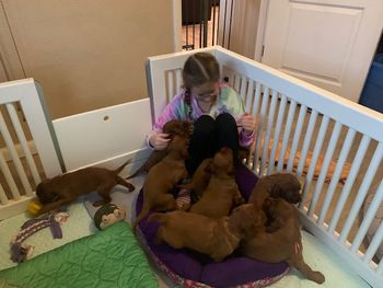 My grand daughter came over and spent the day with me and the puppies.
