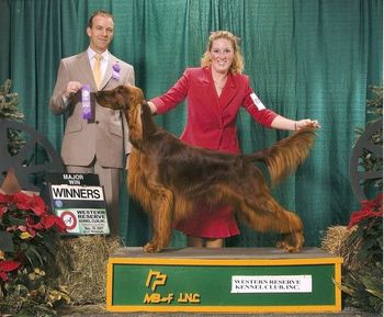 "Kaige" Galewinns Who's At Bat? (BISS Windrose Who's On First? x Ch. Galewinns Legend of Keliaire) Owners: Tom Kaiser & Jessica Stanwood Kaige is pictured winning back to back Majors in December 2007 in Cleveland, OH. We are so proud of Kaige and Tom & Jessica!!
