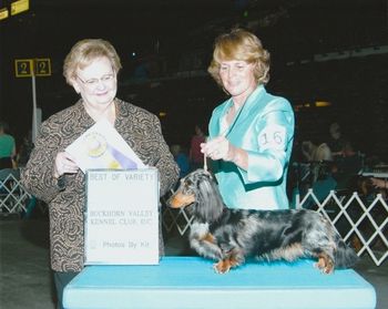 Sasha winning the breed. July 2010 Loveland, Colorado. Look how nicely she has grown up!
