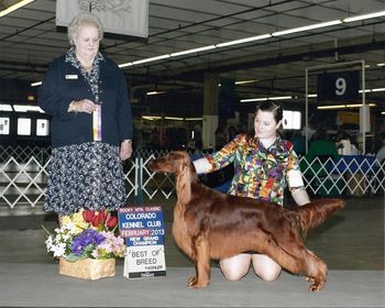 Rio winning the breed at the Denver shows. Thanks so much to Shea for showing her to beautifully!! Feb. 2013
