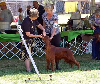 Rio being examined by the judge at the specialty. May 2011
