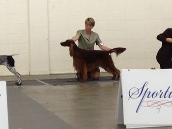 Rio and I in the group at the Denver Dog Show. Feb. 2013

