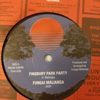 Finsbury Park Party by Fungai Paul Malianga 