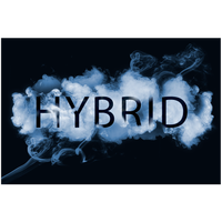 Hybrid by Lyrical Dragon