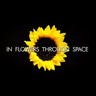 Scott Lindner - In Flowers Through Space