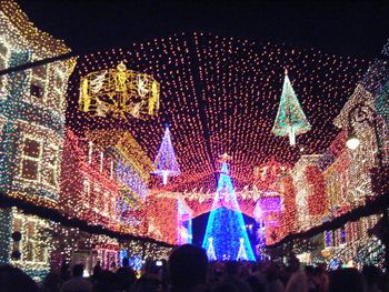 Disney Spectacle Of Dancing Lights
