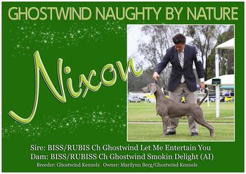 Nixon's banner for Melbourne Royal where he won the Junior Dog Class
