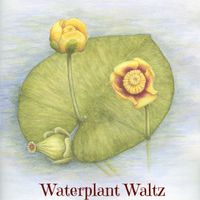 Waterplant Waltz by Carmen Porter
