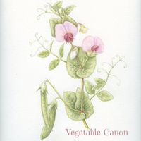 Vegetable Canon by Carmen Porter