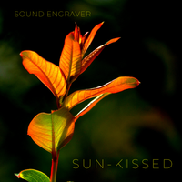 Sun-Kissed by Sound Engraver