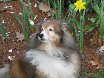 Smelling the Spring breezes!
