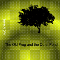 The Old Frog and the Quiet Pond by Brother Al