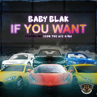 If You Want feat. Icon Da Mic King by Baby Blak feat Icon Da Mic King